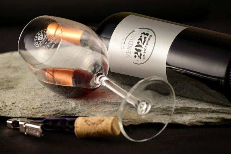 _DSC3458 - Vendimia Malbec-Cabernet 2023_300dpi